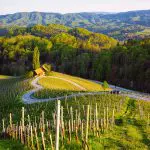 Eine kurvenreiche Straße schlängelt sich durch einen grünen Weinberg mit einem kleinen Haus an einer Seite, umgeben von sanften Hügeln und bewaldeten Bergen unter einem klaren Himmel.