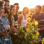 Eine Gruppe von Freunden steht bei Sonnenuntergang in einem Weinberg, lächelnd und mit Rotweingläsern in der Hand, umgeben von Weinstöcken und in warmes, goldenes Licht getaucht.