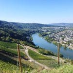 Ein Fluss, der sich durch grüne Hügel und Weinberge schlängelt, mit einer Stadt am rechten Ufer unter einem klaren blauen Himmel. Zwei Holzpfähle stehen im grasbewachsenen Vordergrund.